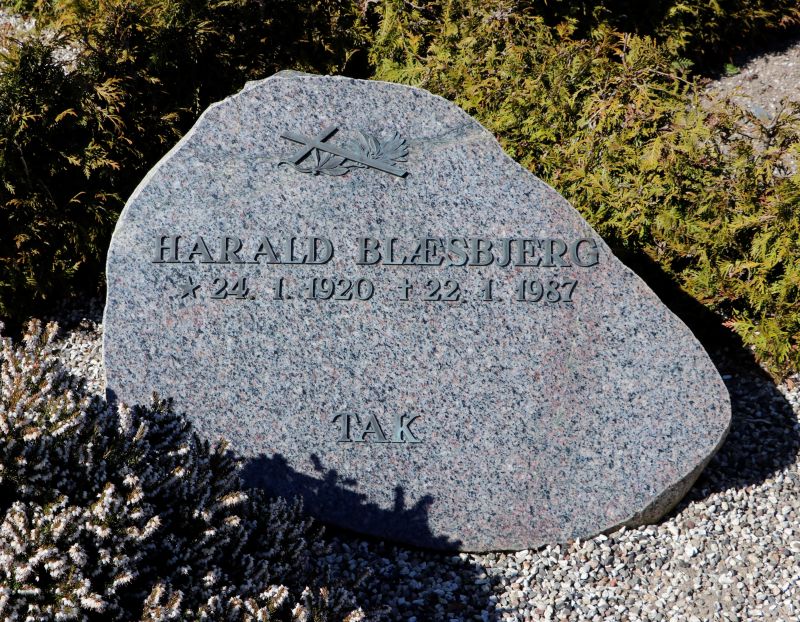 Harald Blaesbjerg.JPG